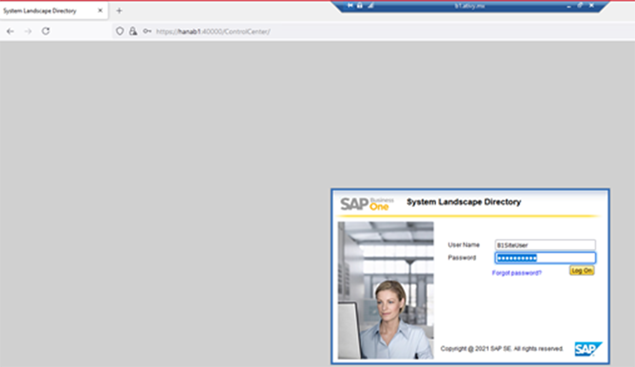 System Landscape 2