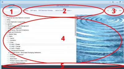 GUI DE SAP 1
