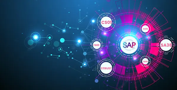 Todo sobre las transacciones en SAP